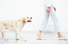 戴き物について